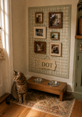 The Cat Corner — DIY Kit