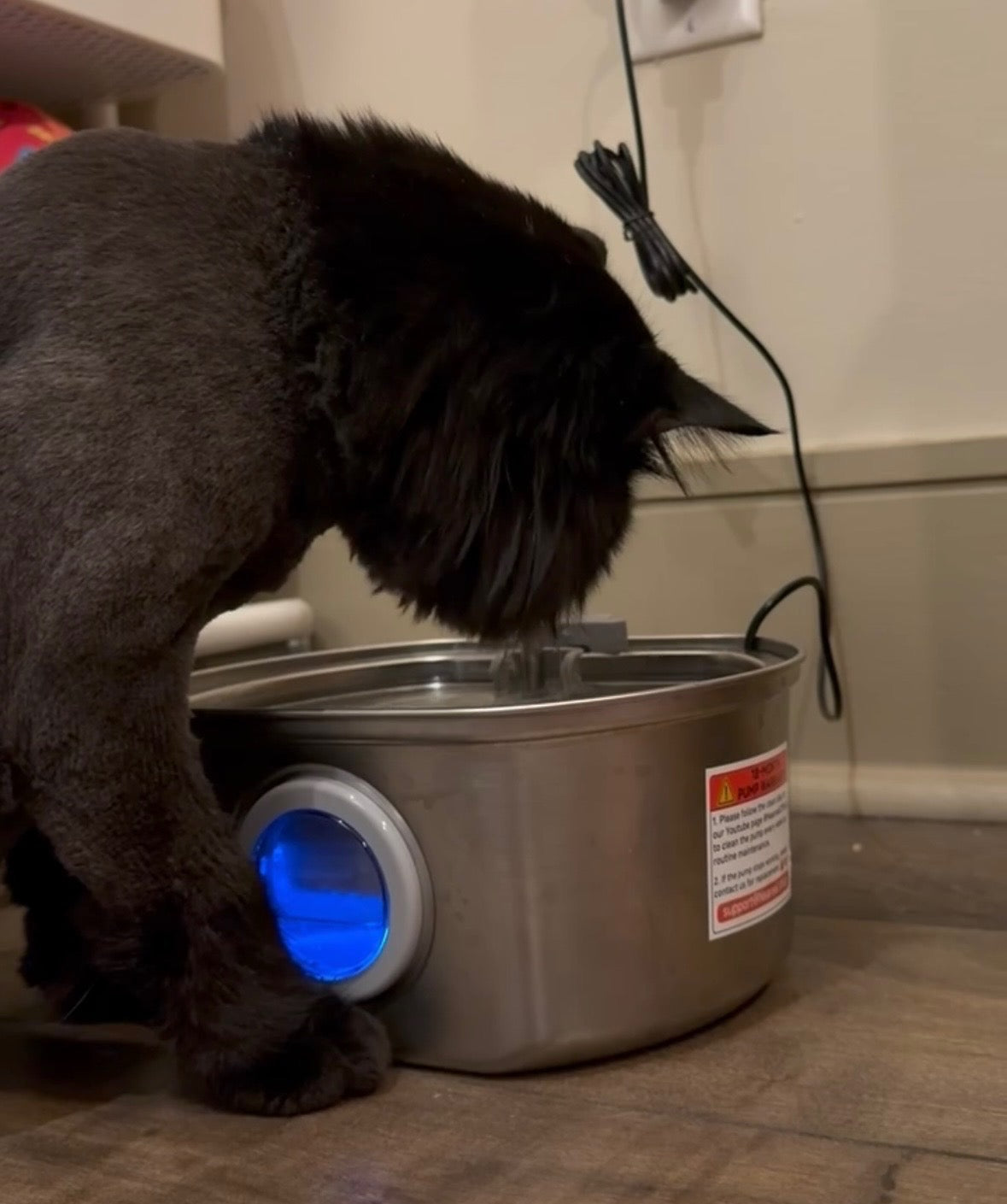 A dark gray cat drinking from a stainless steel automatic pet water fountain with a blue illuminated light on the side, set on a wood floor against a beige wall.