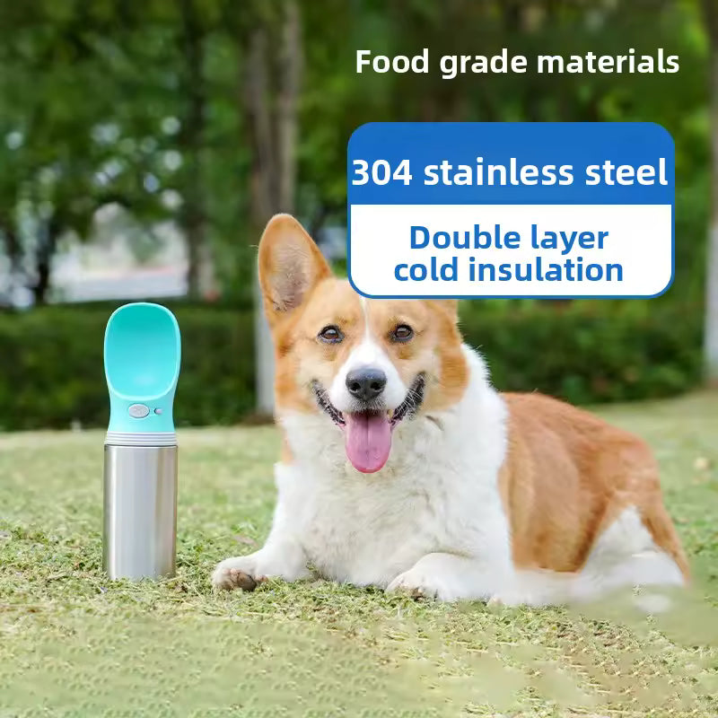 Double Wall Travel Water Bottle