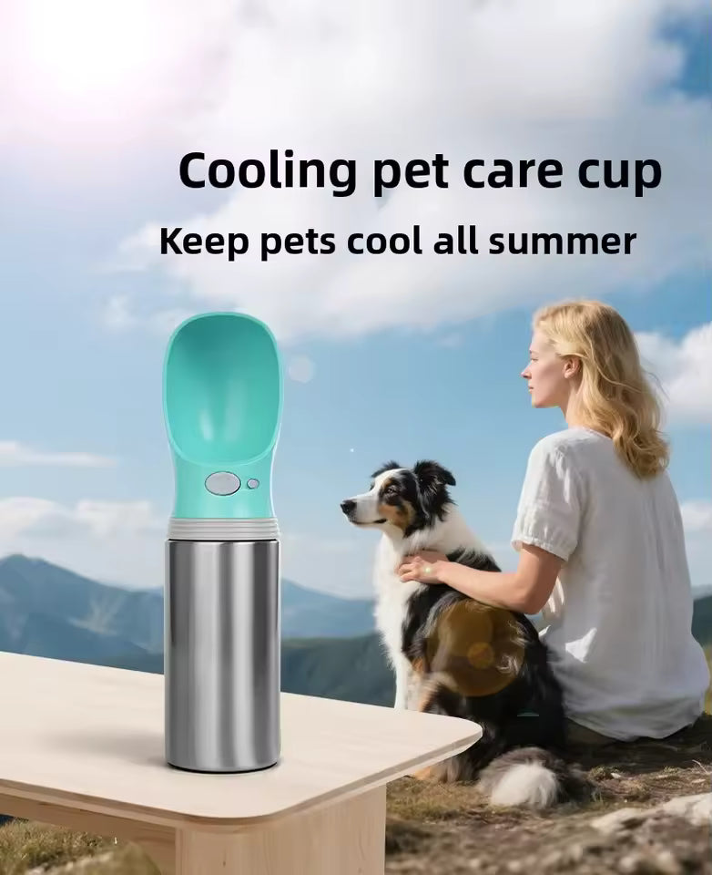 Double Wall Travel Water Bottle