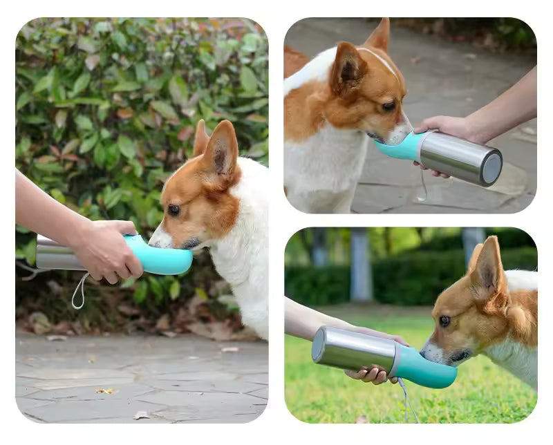 Double Wall Travel Water Bottle