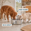 Stainless Steel Automatic Water Fountain
